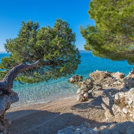 King * Makarska