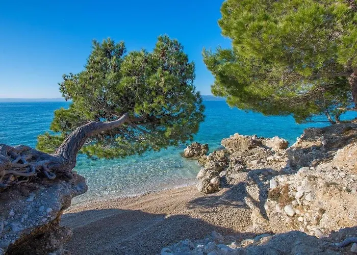 King * Макарська